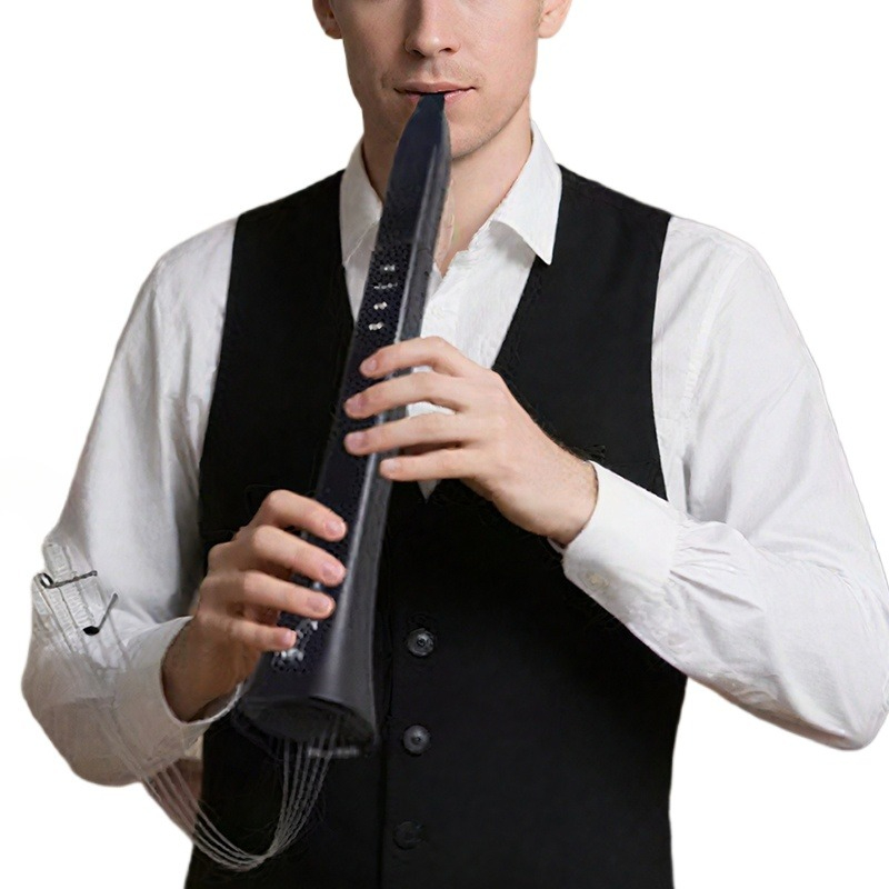 เครื่องดนตรีลมอิเล็กทรอนิกส์แบ - Musical Instrument With A บทวิจารณ์และราคา