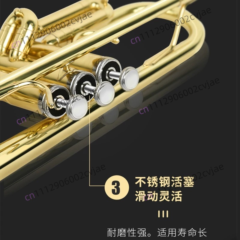 เหมาะสำหรับเครื่องดนตรีทรัมเป็ - Musical Instrument Drum บทวิจารณ์และราคา
